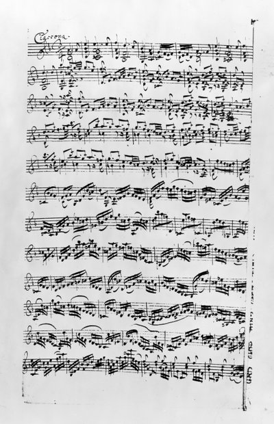 Copy of 